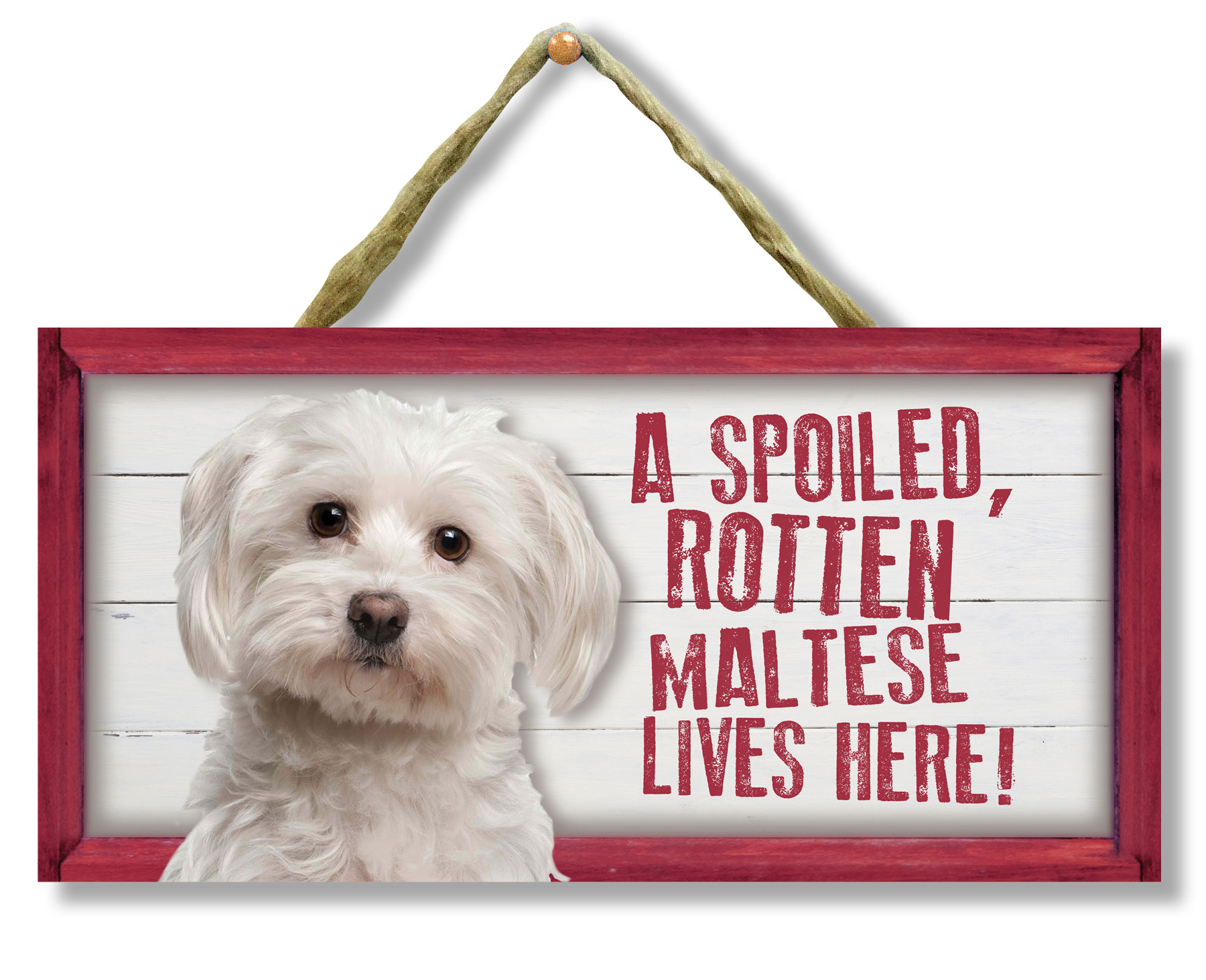 Details about   A spoiled rotten Bichon lives here Happy Wood Fridge Magnet 2.5 x 3.5 Gift New 